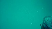 opto_logiciel_Grapinet