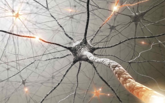 Pathologies neurologiques centrales