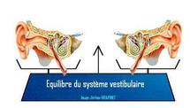 Etat d'équilibre du système vestibulaire= Stabilité des yeux