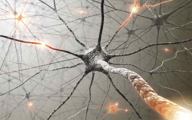 Pathologies neurologiques centrales
