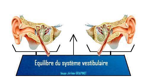 Etat d'équilibre du système vestibulaire= Stabilité des yeux